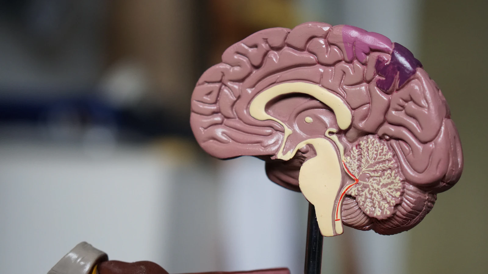 Why Response Time Is the #1 Factor in Winning New Patients